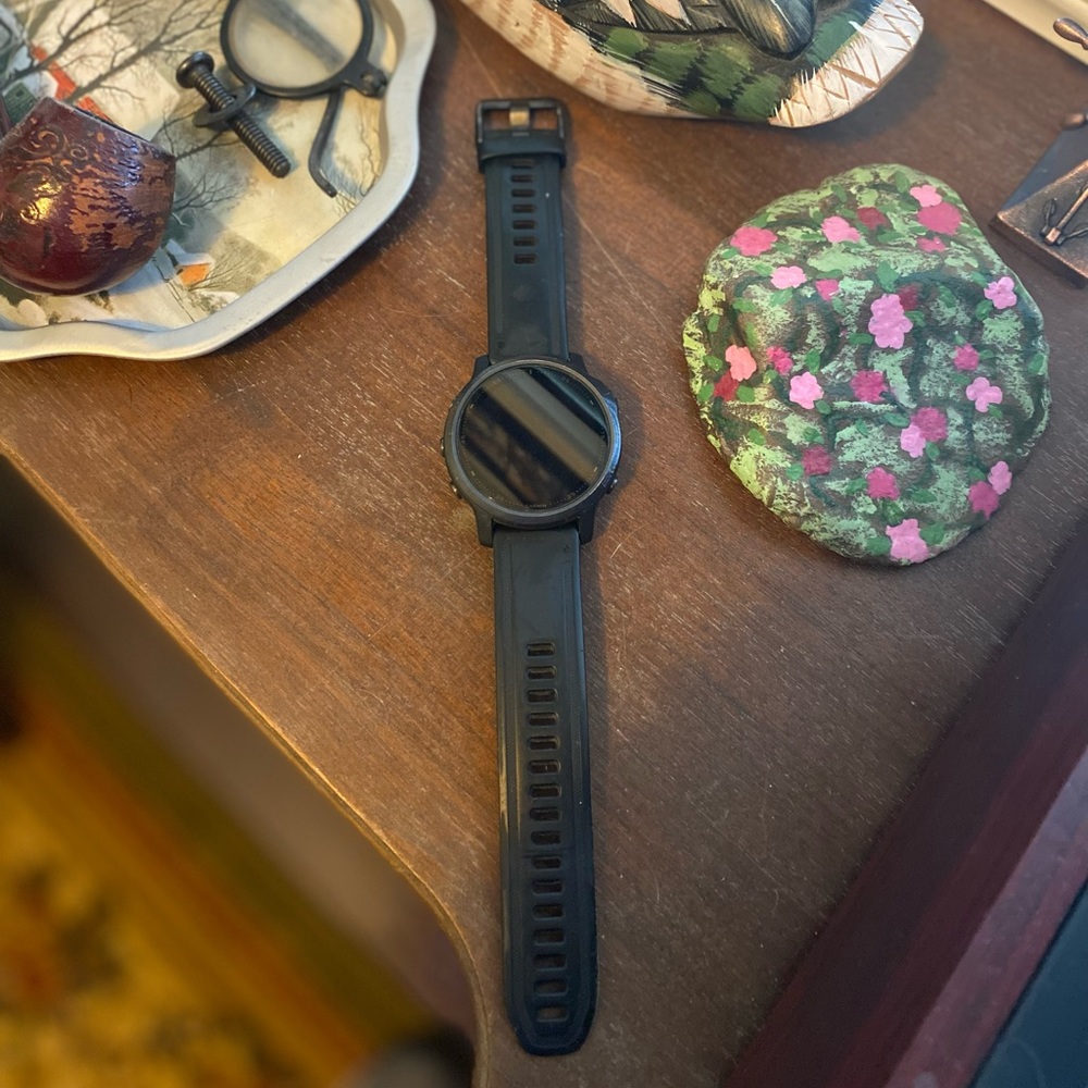 Garmin Fenix 6s Sapphire